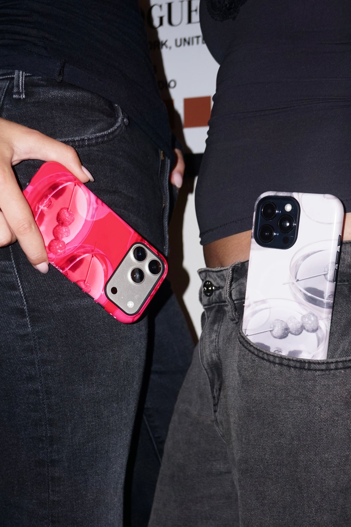 Berry Case Grey